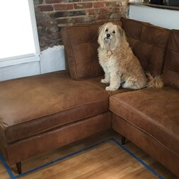 121″ Black Leather Fitzgerald Chesterfield Chaise Sleeper